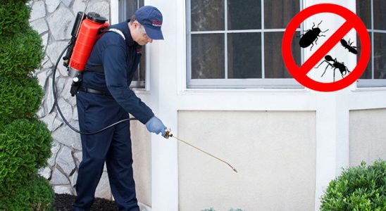 Gömeç Fare İlaçlama böcek ilaçlama ve haşere kontrolü — ilaclama-tr.com